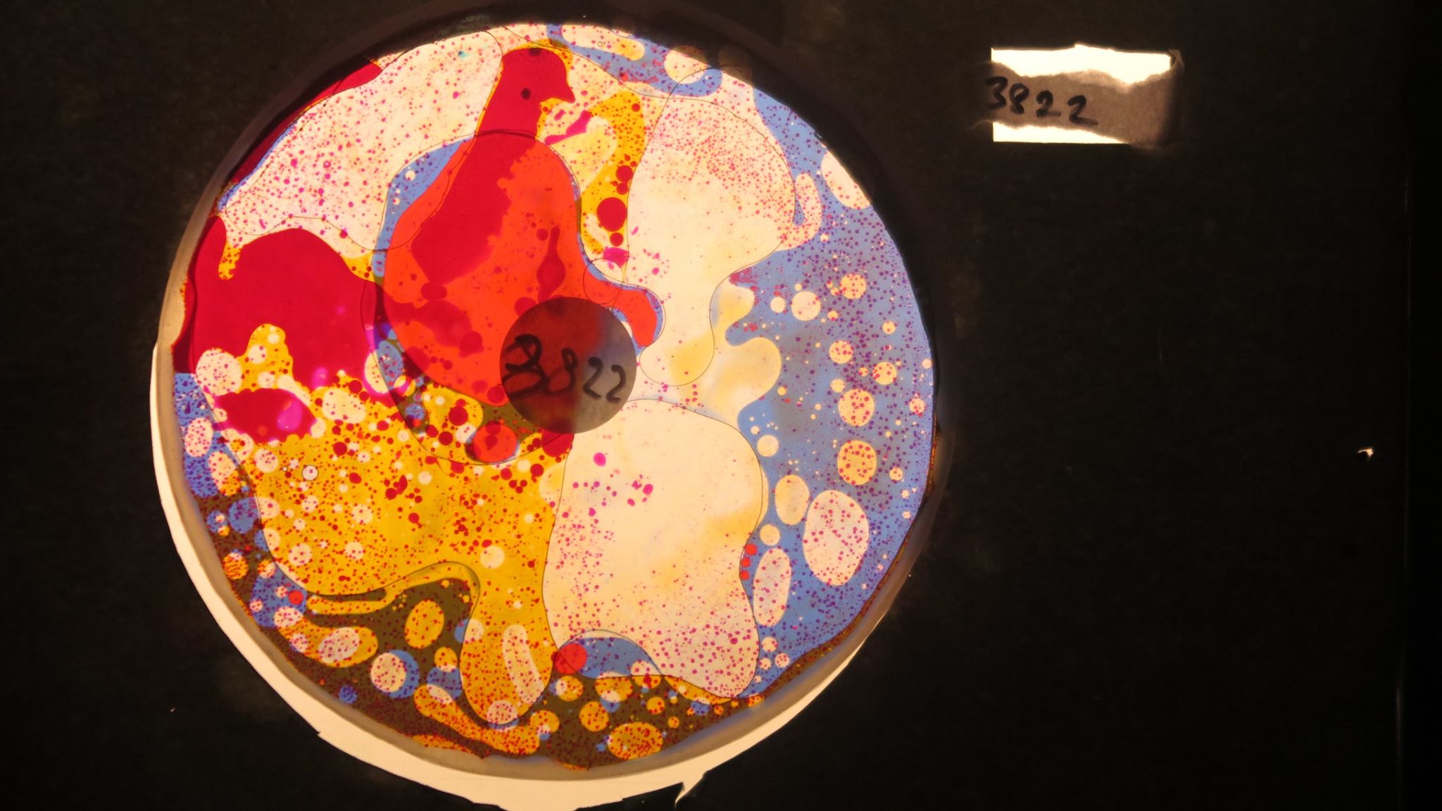 BV3822 bubble vision oil wheel